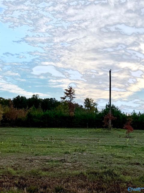 Vacant Land For Sale - LOT 10 County Road 39<br/> Piedmont, AL 36272