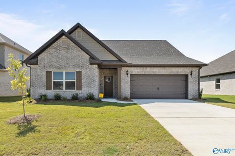 Homes For Sale - 162 Saddle Street<br/> New Market, AL 35761