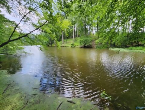 Photo of 827 County Road 949, Crane Hill, AL 35053 (MLS # 21913791)