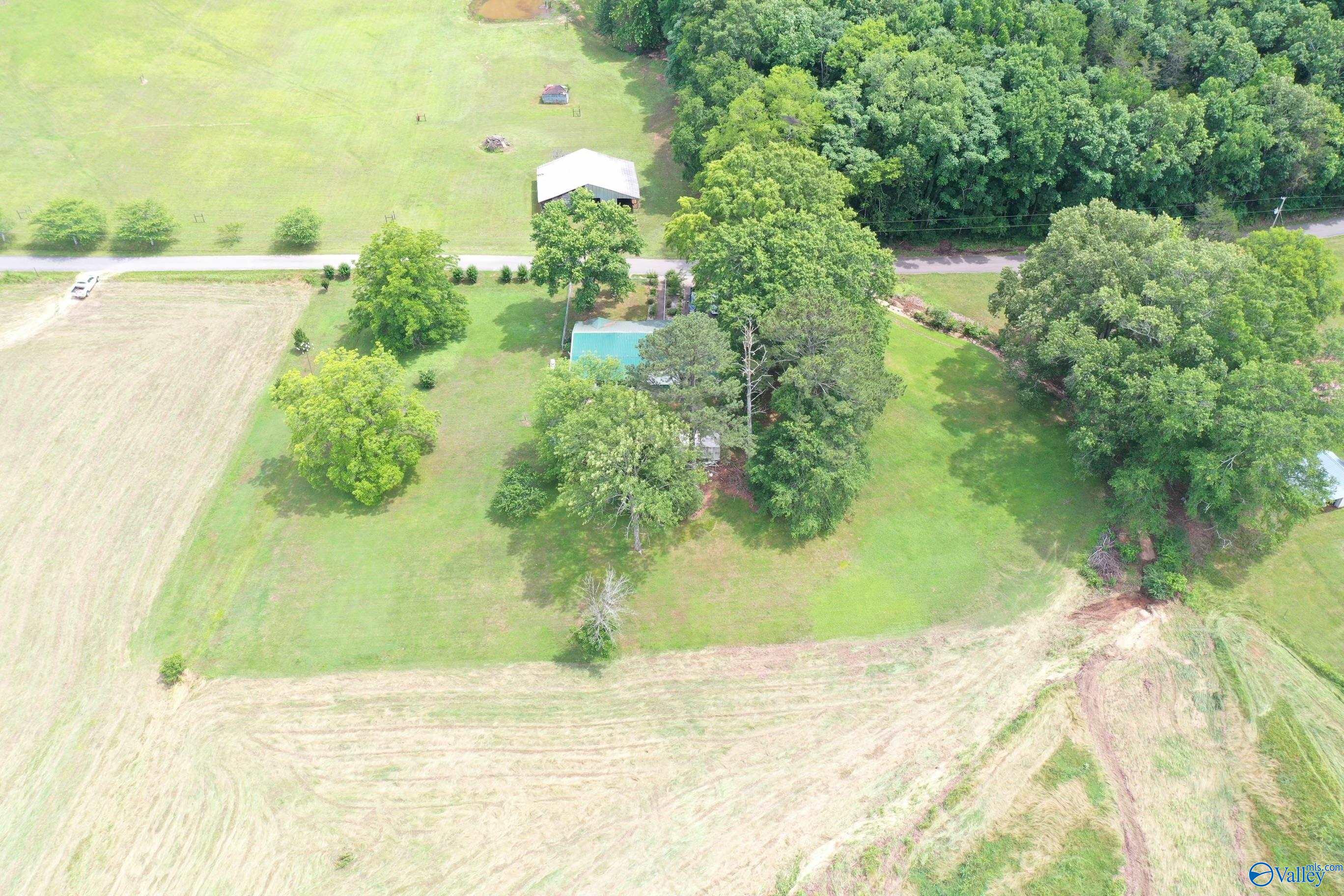 1386 Johnson Hollow Road, Grant, Alabama image 4