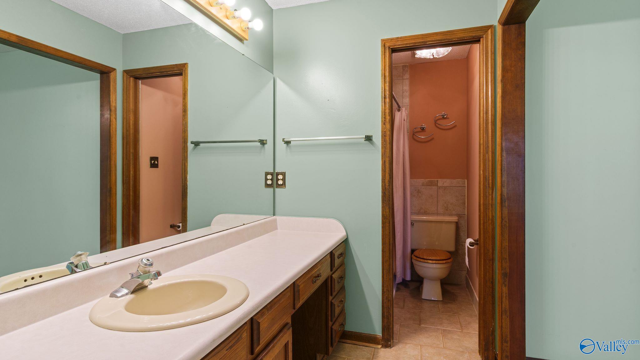2302 Auburn Drive, Decatur, Alabama image 12