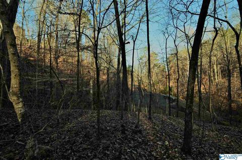 Vacant Land For Sale - 5 Northwood Trail<br/> Etowah County, Gadsden, AL 35901