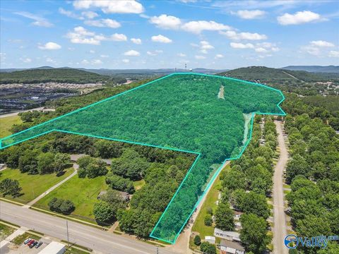 Vacant Land For Sale - 59 ACRE Green Cove Road<br/> Huntsville, AL 35803