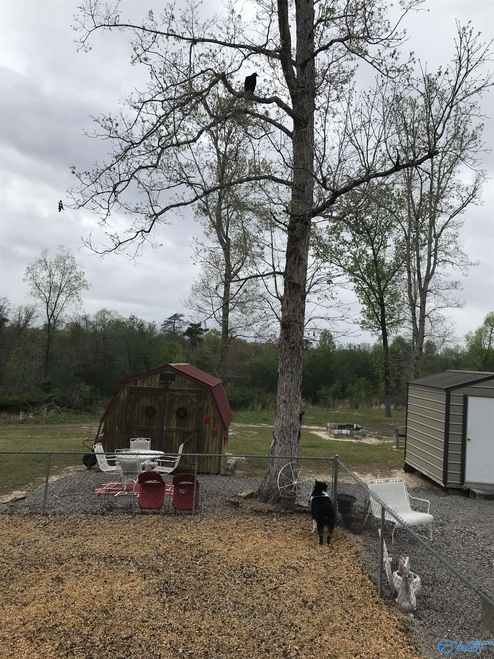 3320 County Road 776, Ider, Alabama image 22