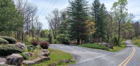 Vacant Land For Sale - 237 County Road 844<br/> Mentone, AL 35984
