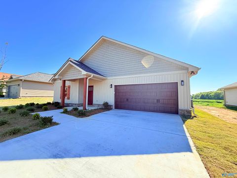 213 Deer Trail Union Grove AL 35175