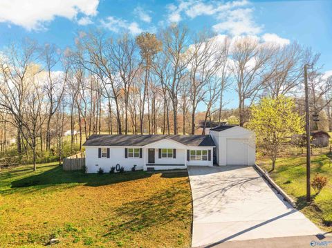 Photo of 206 Rolling Hills Drive, Arab, AL 35016 (MLS # 21912200)