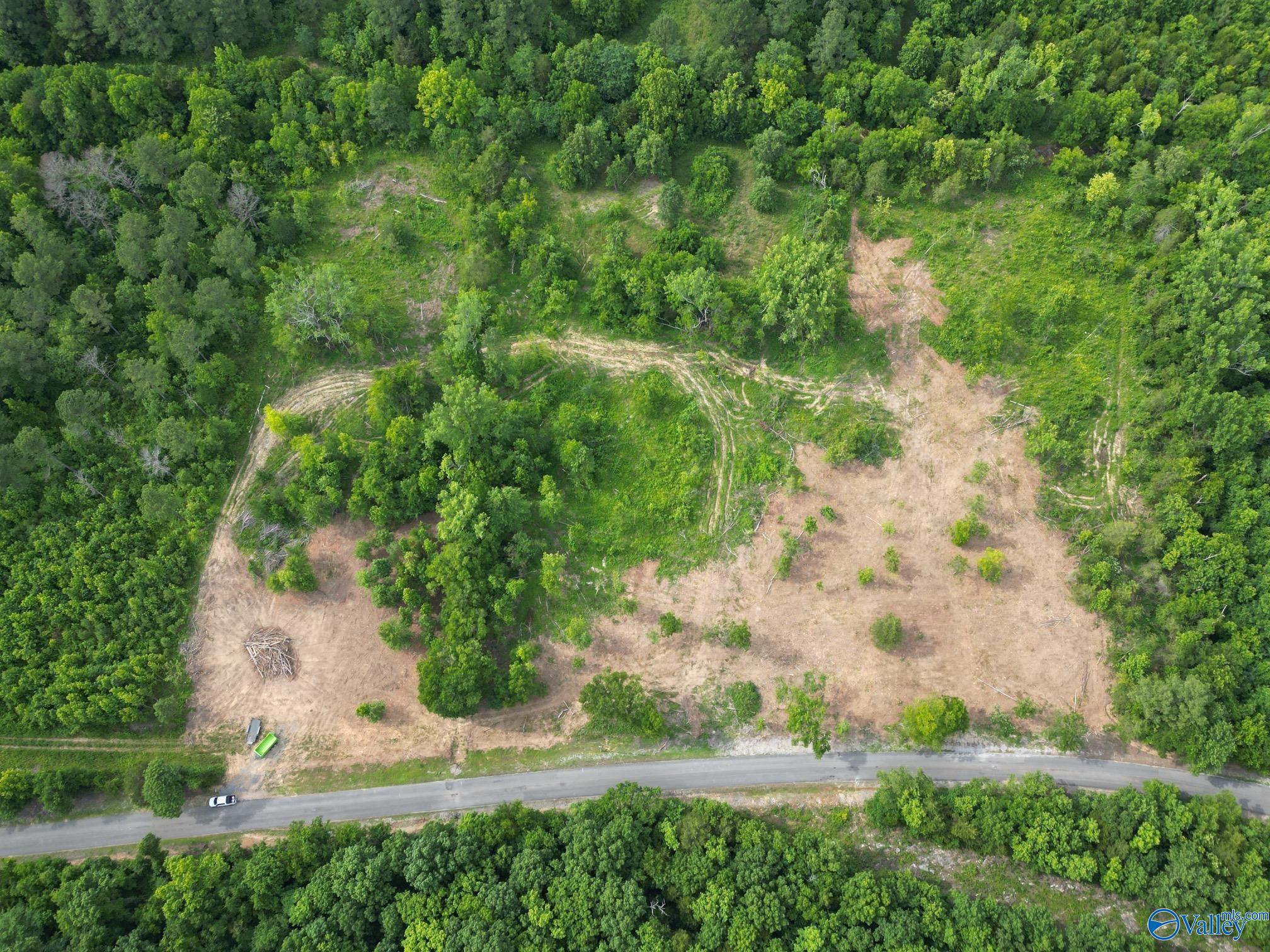 Lot #5 County Road 59, Moulton, Alabama image 8