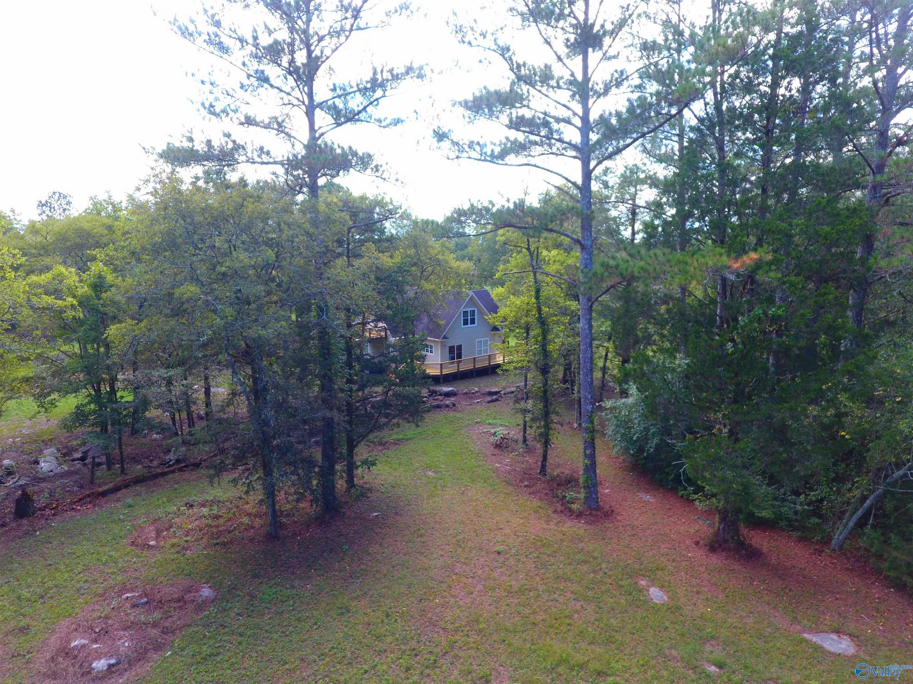 1625 Old Gurley Pike, New Hope, Alabama image 9