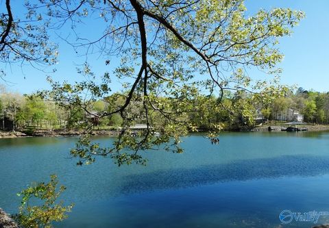 Lot 7 Bullbranch Drive Double Springs AL 35553