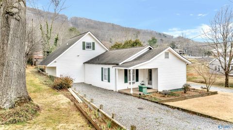 Homes For Sale - 413 Lincoln Avenue<br/> Fort Payne, AL 35967