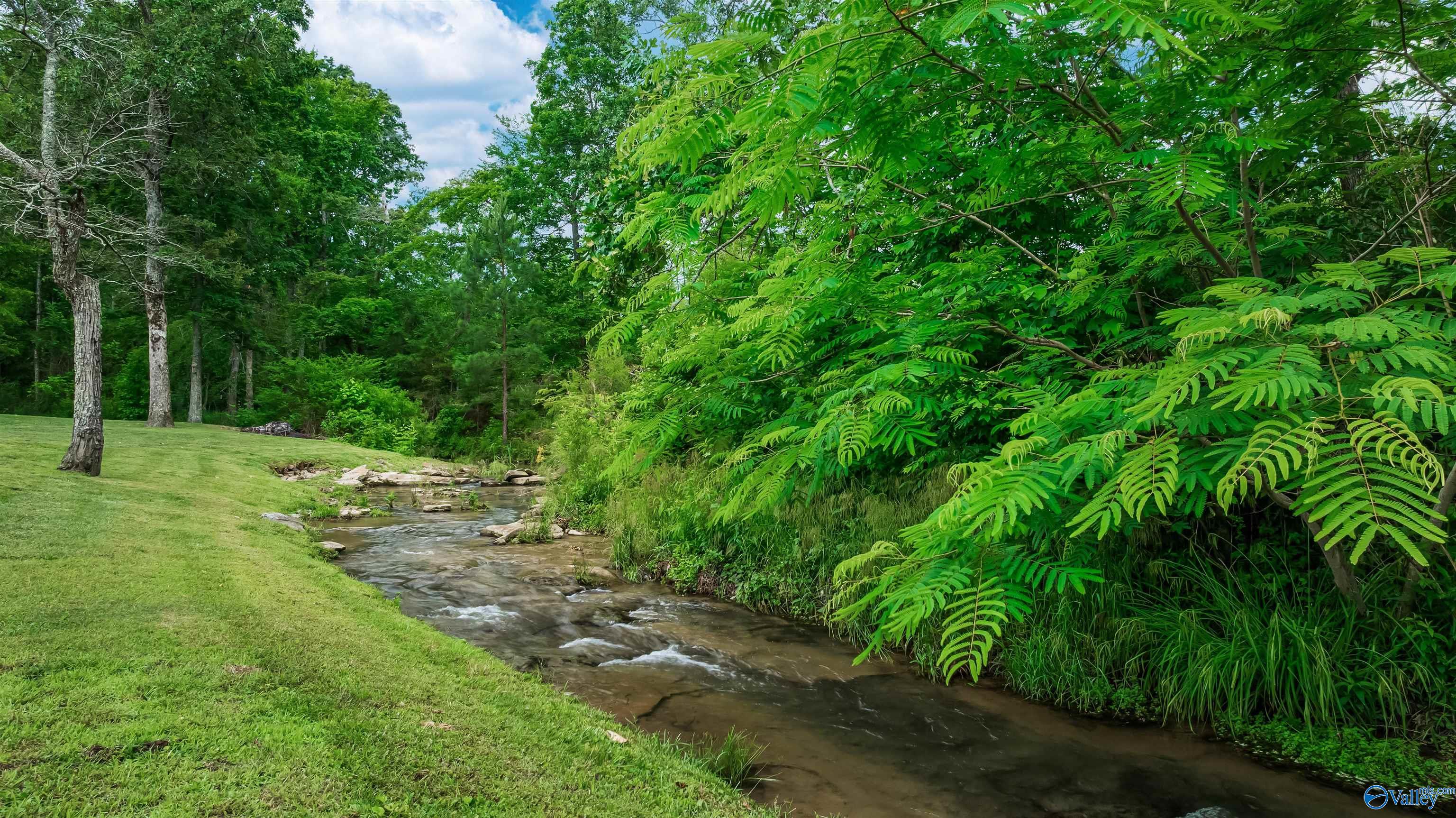 17846 Al Highway 176, Fort Payne, Alabama image 4