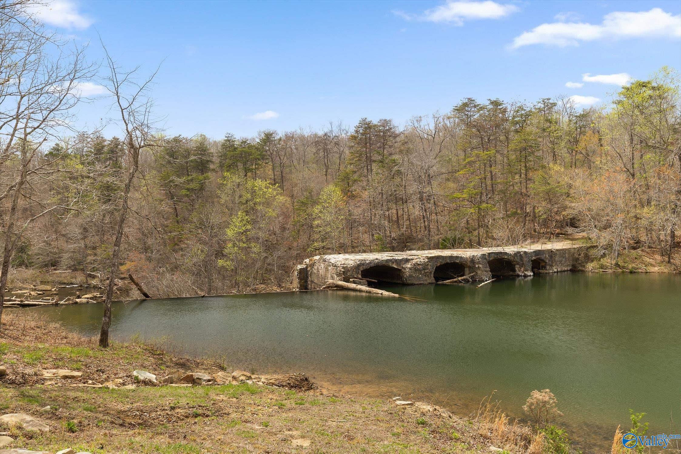 13248 County Road 103, Mentone, Alabama image 43