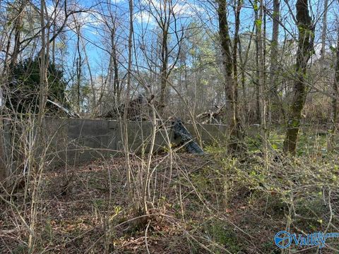 Vacant Land For Sale - 5288 Hwy 75<br/> Albertville, AL 35950