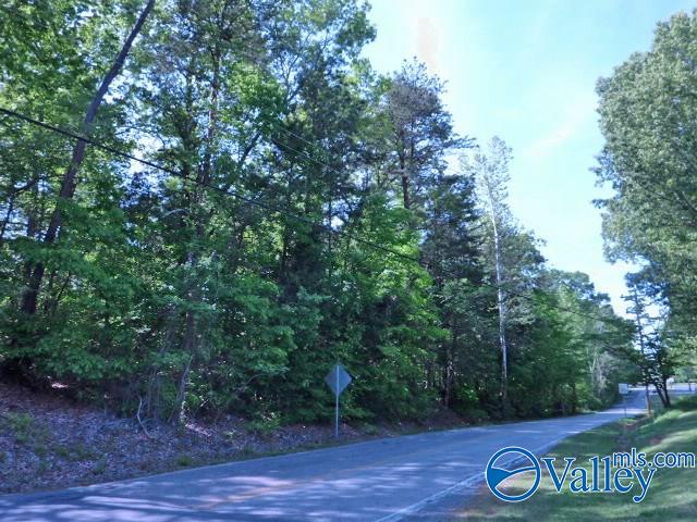 4509 Norris Mill Road, Decatur, Alabama image 1