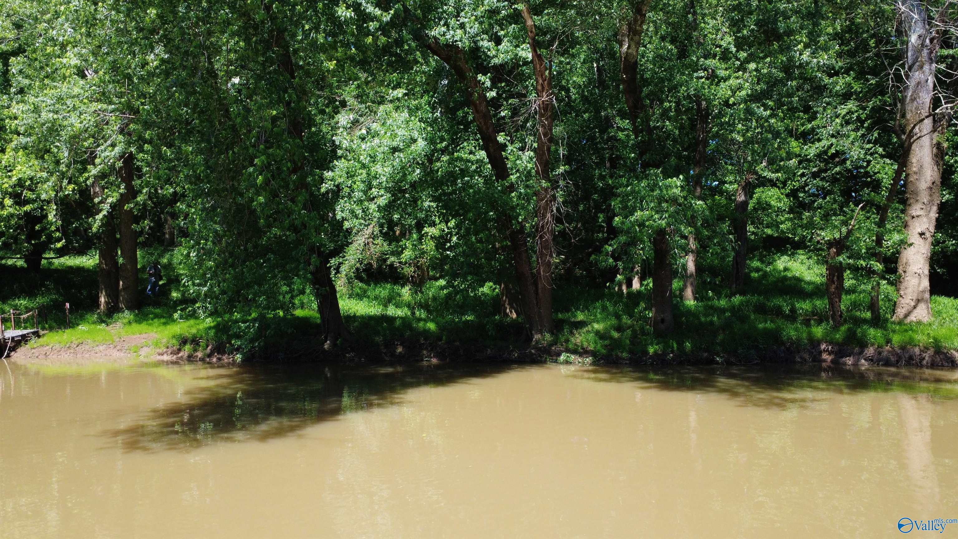 7.6 River Road, Chapel Hill, Tennessee image 6