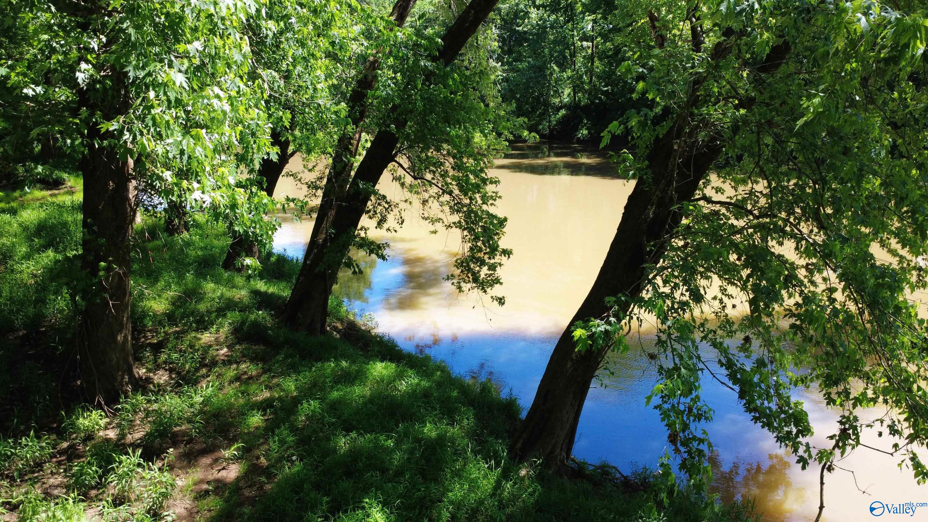 7.6 River Road, Chapel Hill, Tennessee image 9