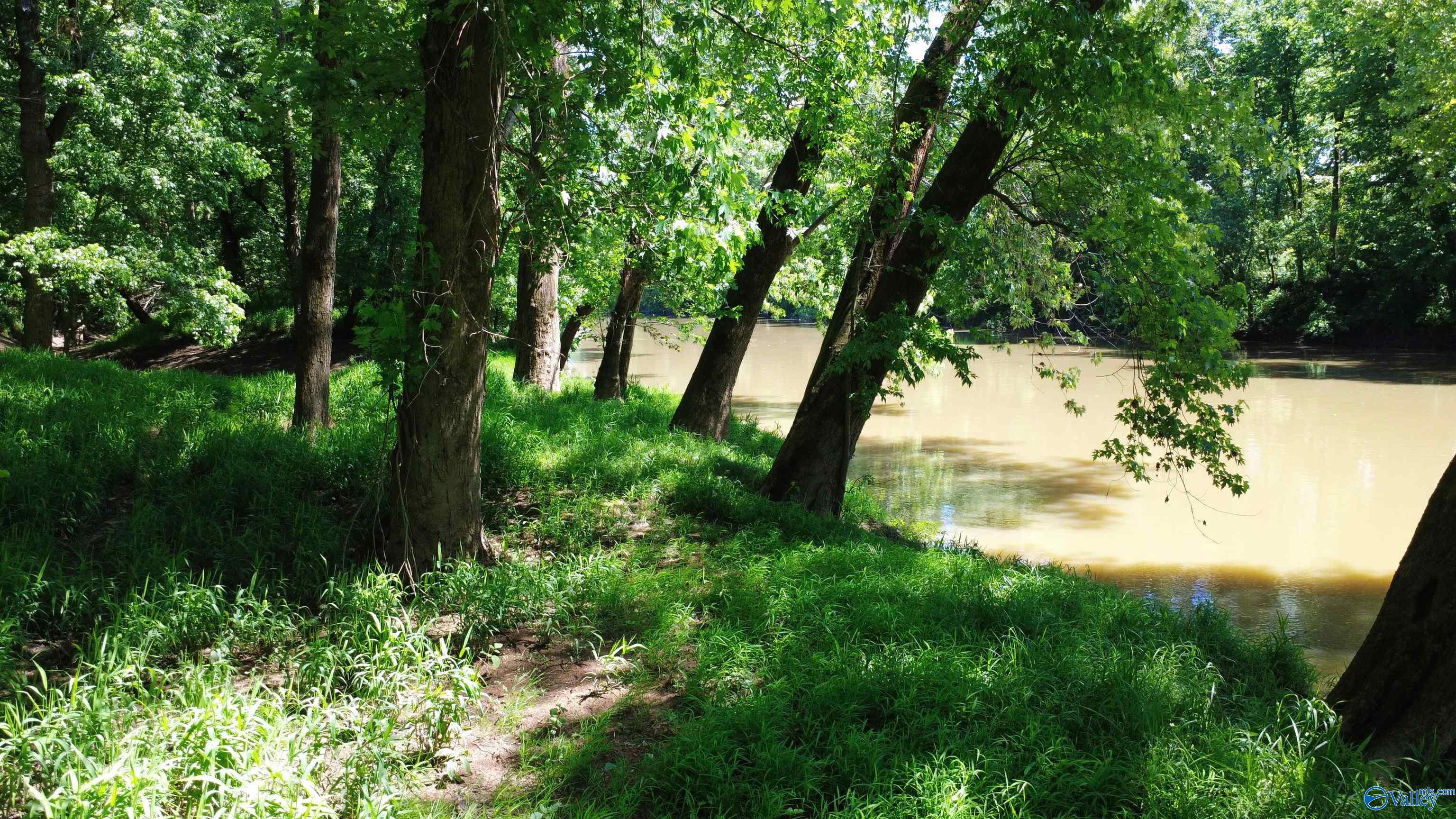 7.6 River Road, Chapel Hill, Tennessee image 10