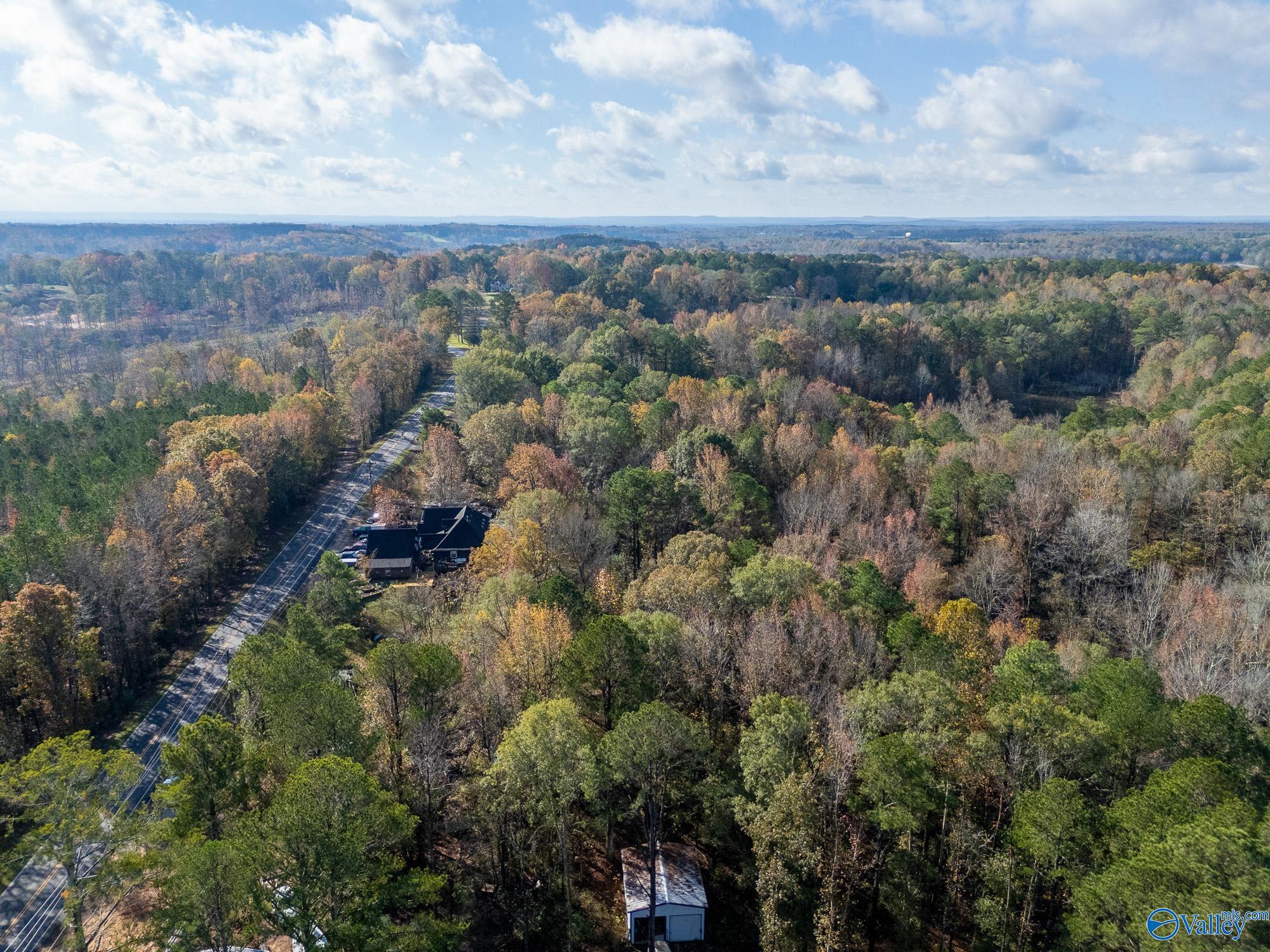 5039 Danville Road, Hartselle, Alabama image 9