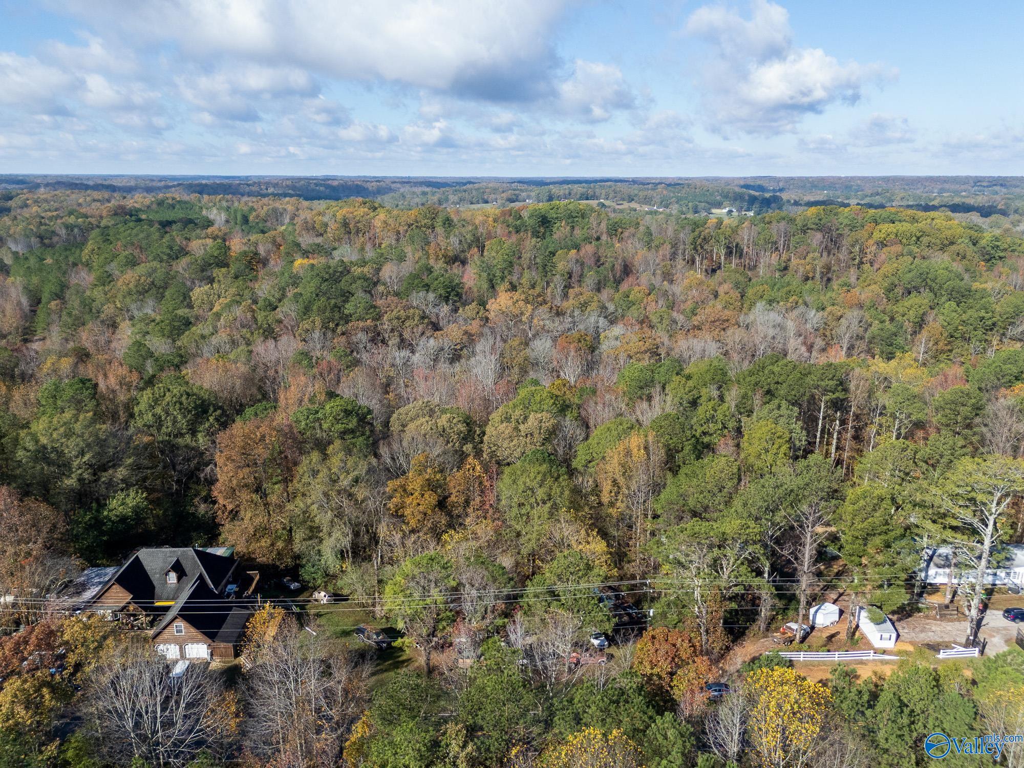 5039 Danville Road, Hartselle, Alabama image 8