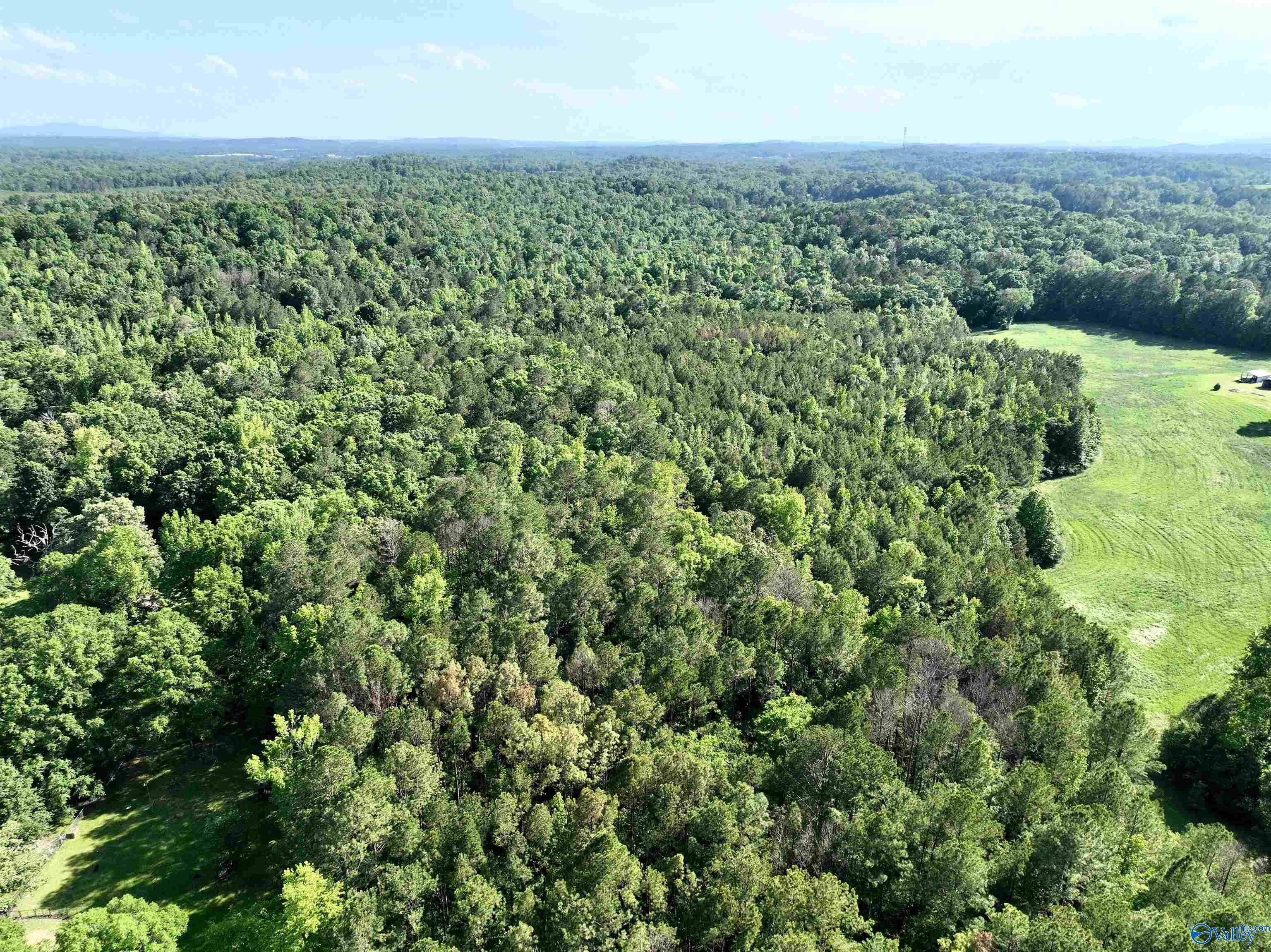 154 Deer Trace Road, Pell City, Alabama image 6