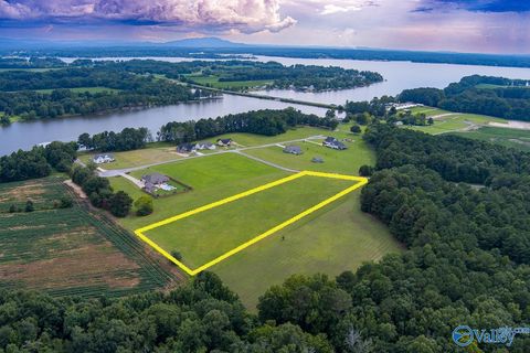 Vacant Land For Sale - 359 County Road 580<br/> Cherokee County, Centre, AL 35960