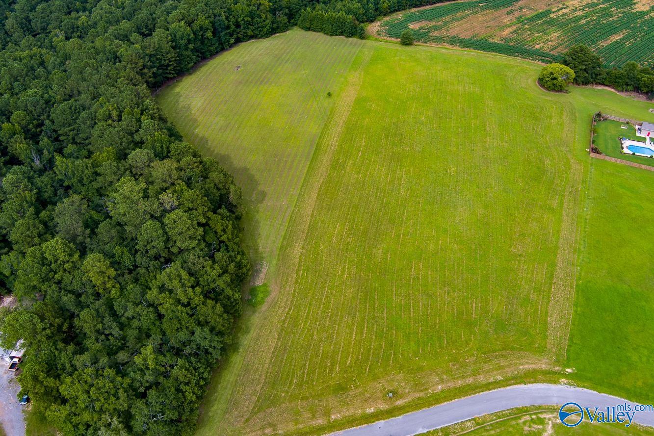 359 County Road 580, Centre, Alabama image 13