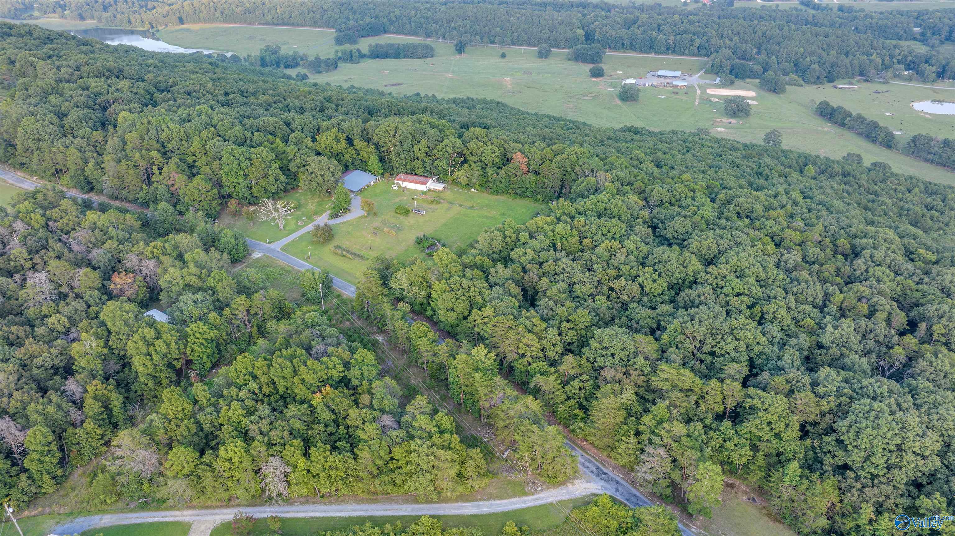 1662 County Road 664, Henagar, Alabama image 10