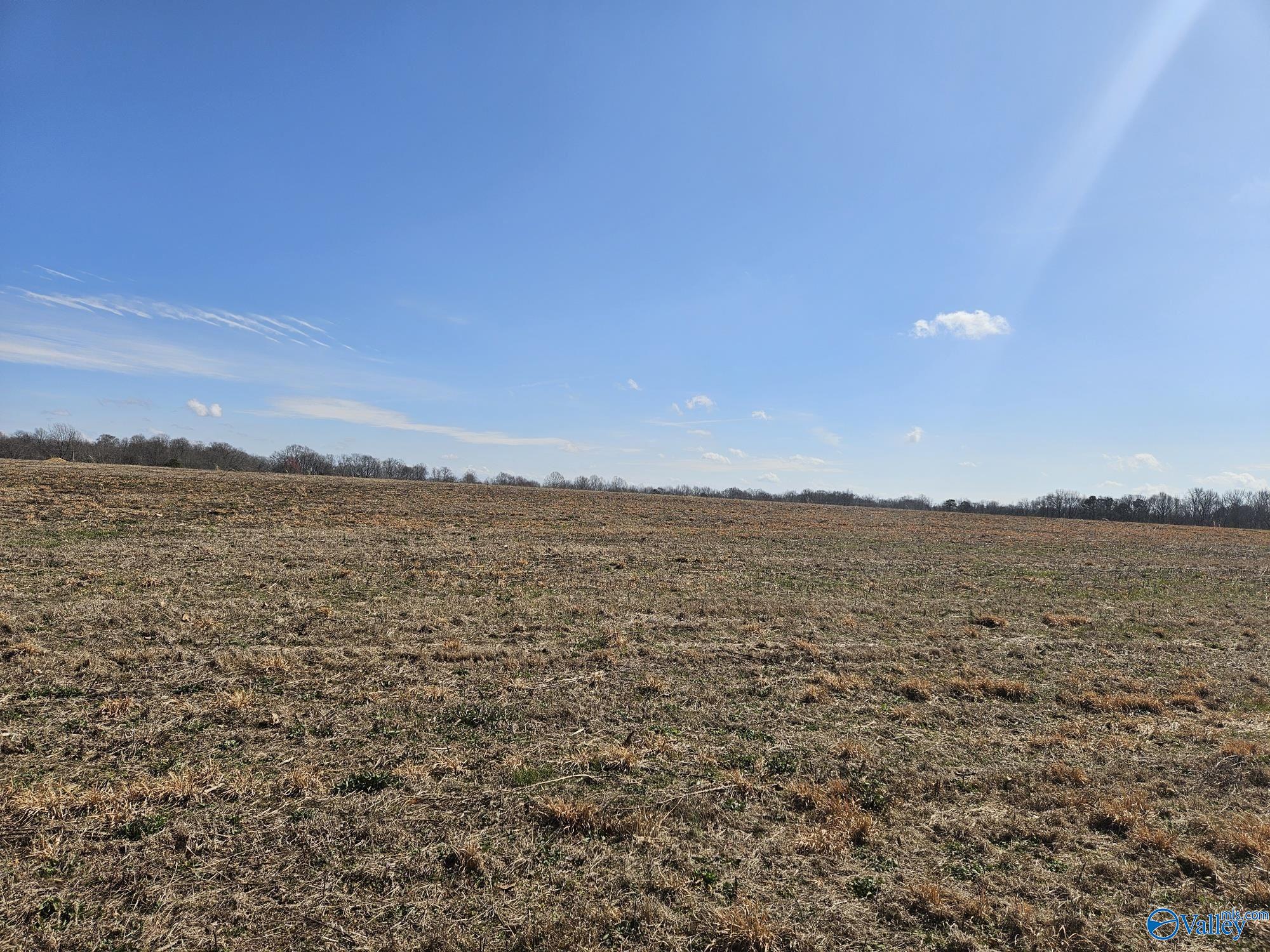 Lot 5 Scott Road, Hazel Green, Alabama image 2