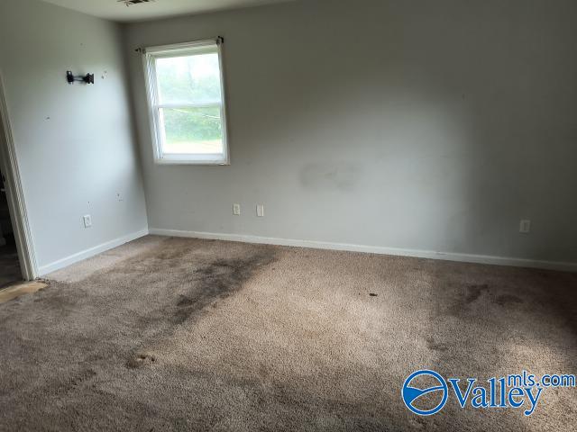360 Blue Bend Road, Albertville, Alabama image 6