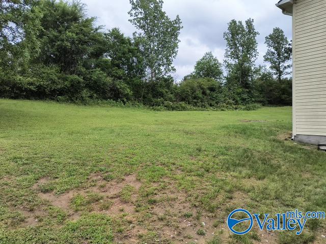 360 Blue Bend Road, Albertville, Alabama image 15
