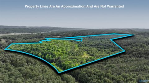 Vacant Land For Sale - 147.4 Wooten Gap Road<br/> Fort Payne, AL 35968
