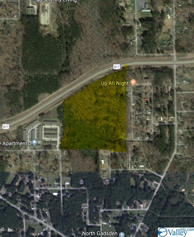 25 +/- Acres Highway 411, Gadsden, Alabama image 1