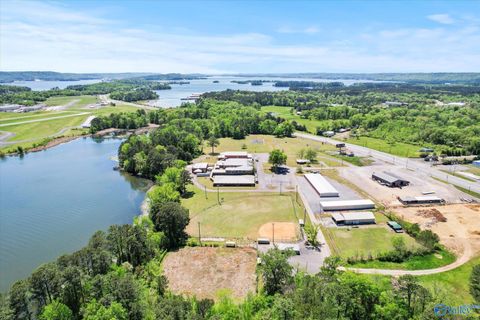 Vacant Land For Sale - 140 Claysville School Road<br/> Guntersville, AL 35976