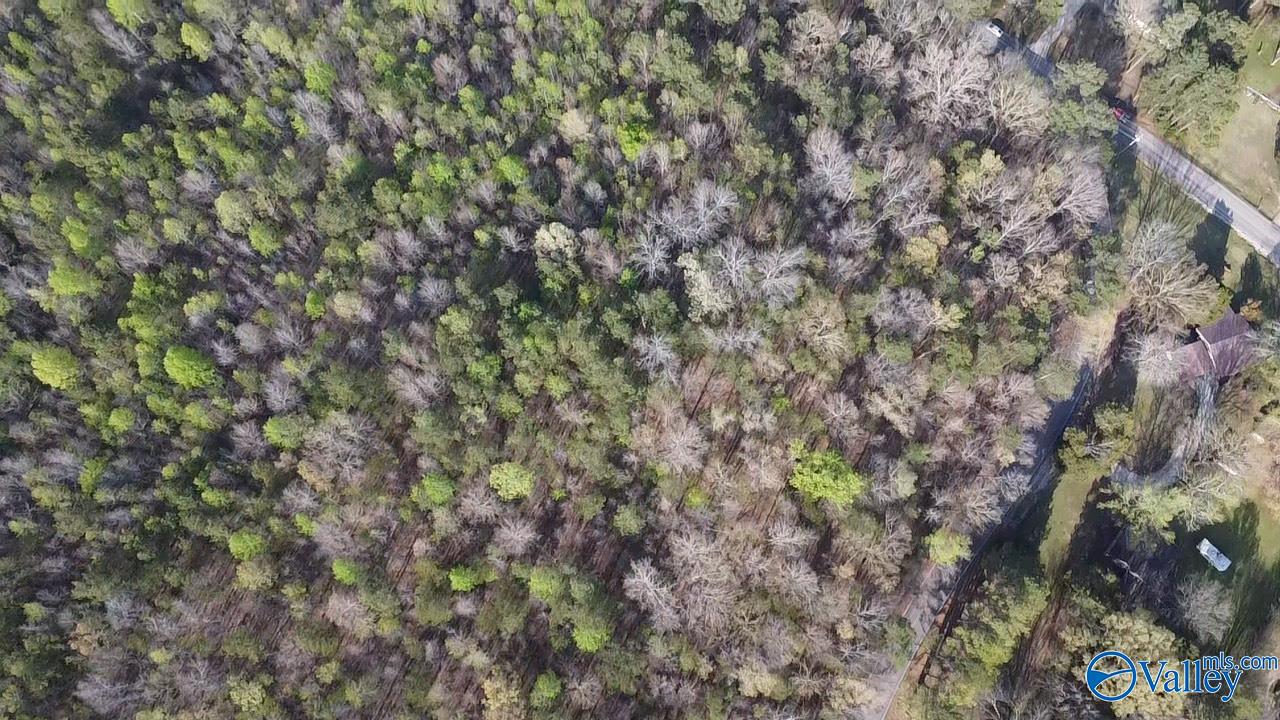 Lot 5 NW Norris Mill Road, Decatur, Alabama image 7