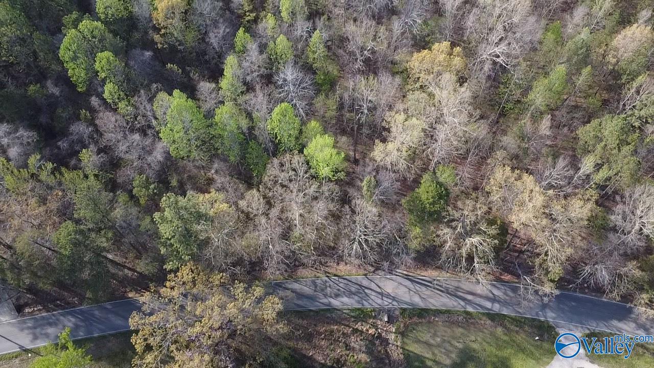 Lot 5 NW Norris Mill Road, Decatur, Alabama image 6