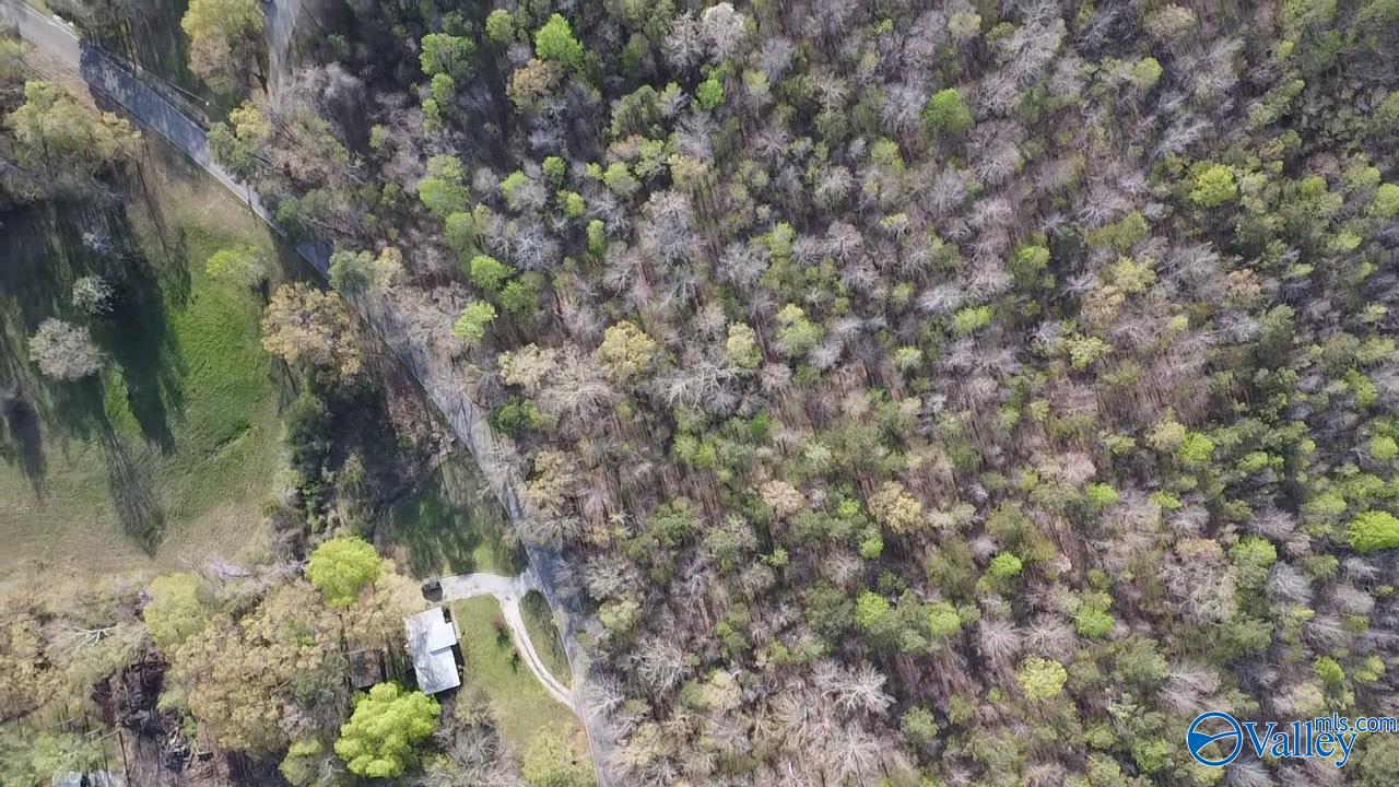 Lot 5 NW Norris Mill Road, Decatur, Alabama image 3