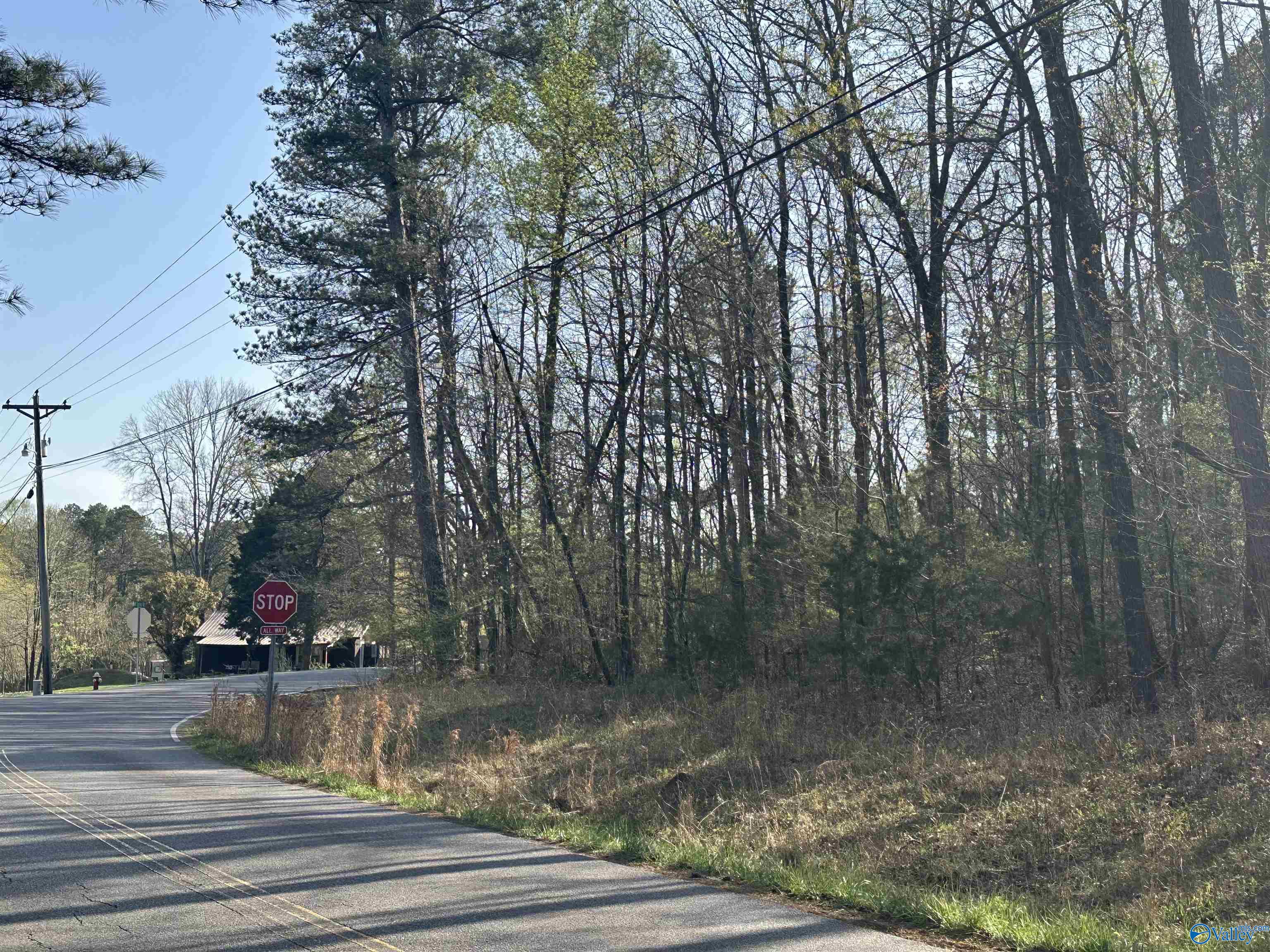 Lot 5 NW Norris Mill Road, Decatur, Alabama image 8