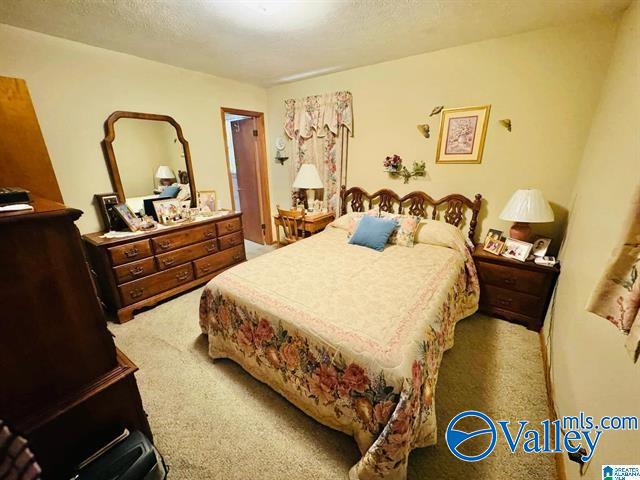 602 Gilbert Ferry Road, Attalla, Alabama image 21