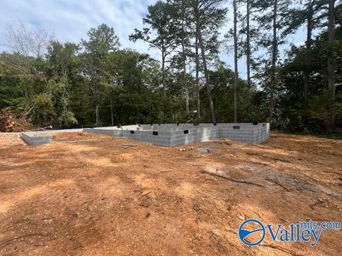 305 Travis Road Fort Payne AL 35967