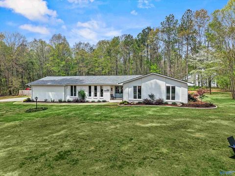 Photo of 386 York Drive, Rogersville, AL 35652 (MLS # 21914189)