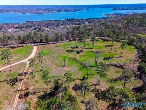 Lot 7 Mccorkle Mountain Road Scottsboro AL 35679