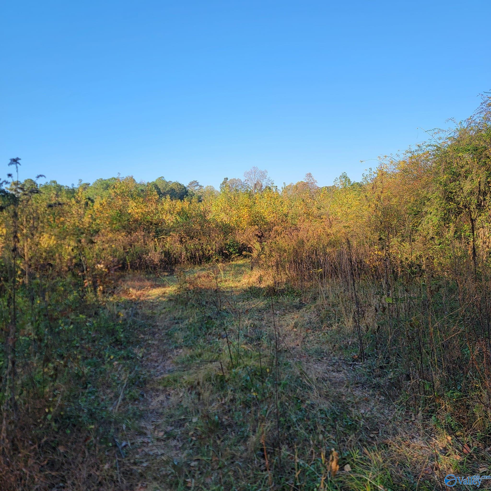 11 Crisco Road, Union Grove, Alabama image 8