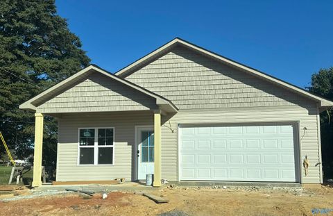 2510 Pleasant Hill Road Guntersville AL 35976