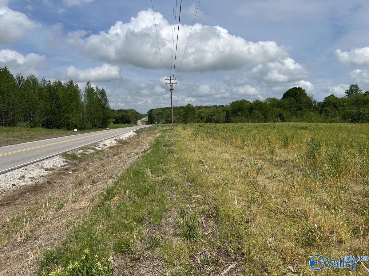 28 Acres Hwy 64, Lexington, Alabama image 2