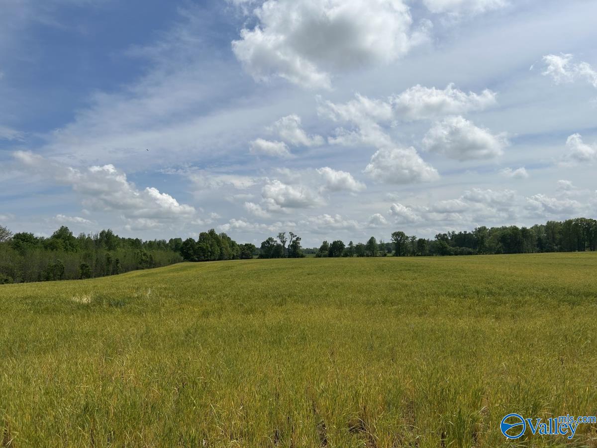 28 Acres Hwy 64, Lexington, Alabama image 4