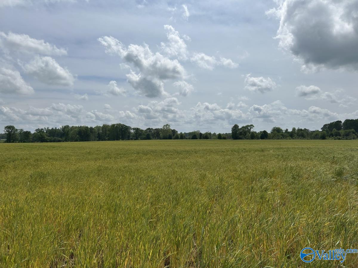 28 Acres Hwy 64, Lexington, Alabama image 1