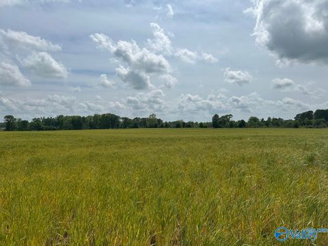 Vacant Land For Sale - 28 ACRES Hwy 64<br/> Lexington, AL 35648