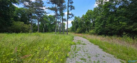 Vacant Land For Sale - LOT 1 Shankles Circle<br/> Rainsville, AL 35986