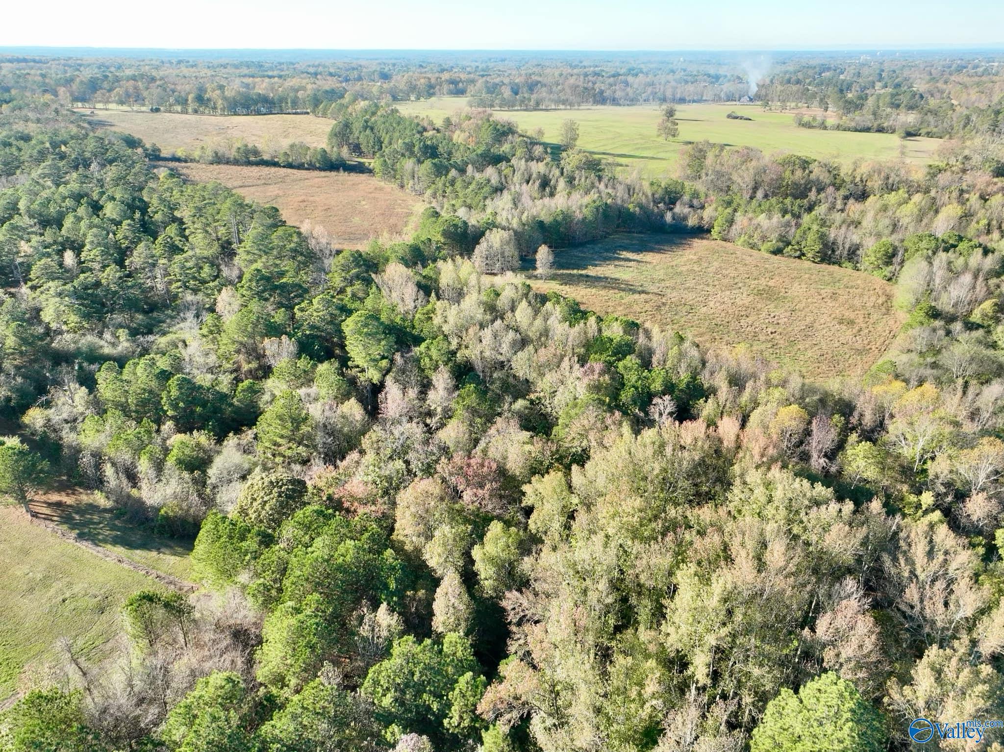 10+/- Acres Pleasant Hill Church Road, Boaz, Alabama image 11